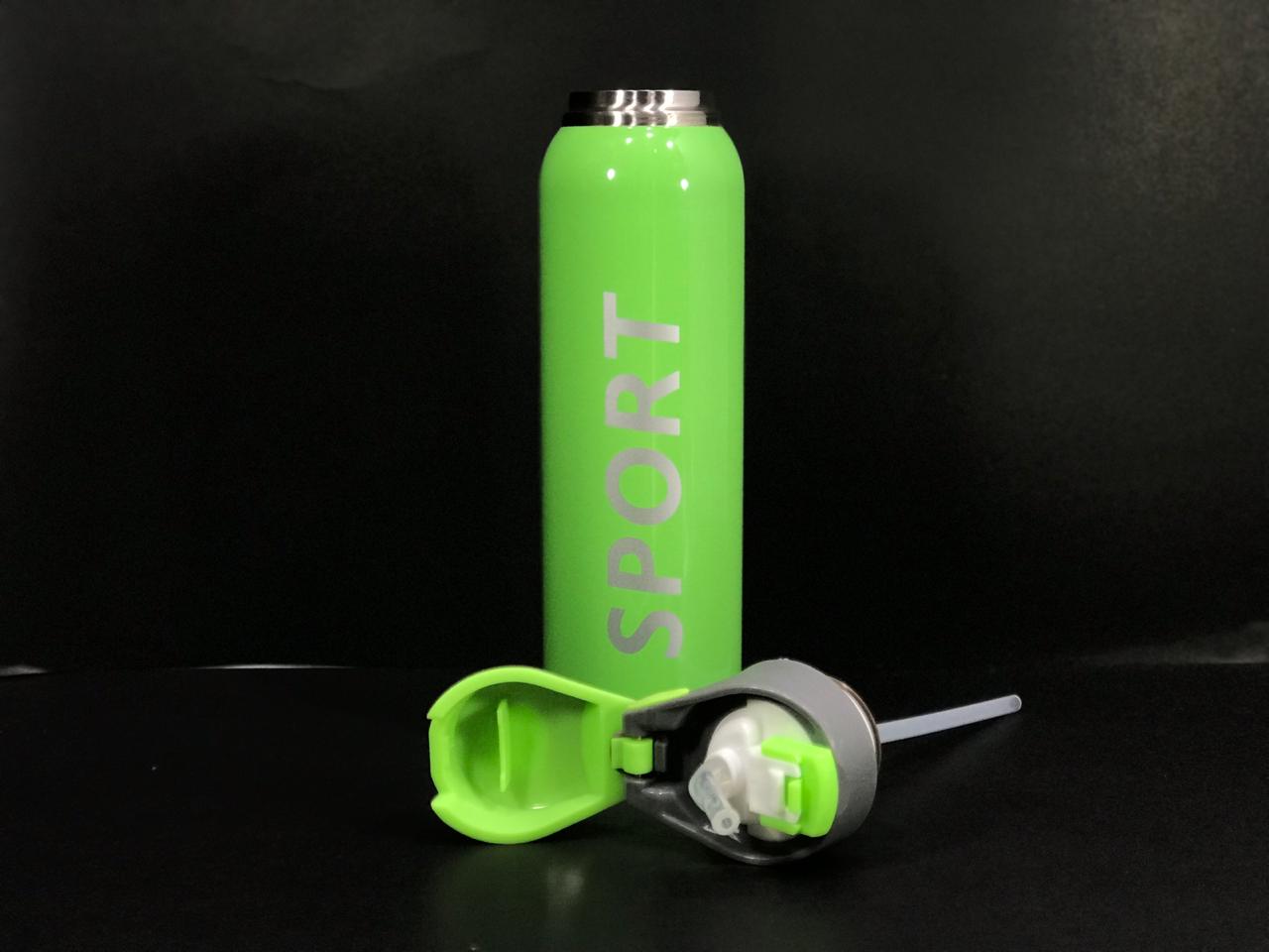 Stainless Steel Vacuum Flask with cartoon variants-500ML